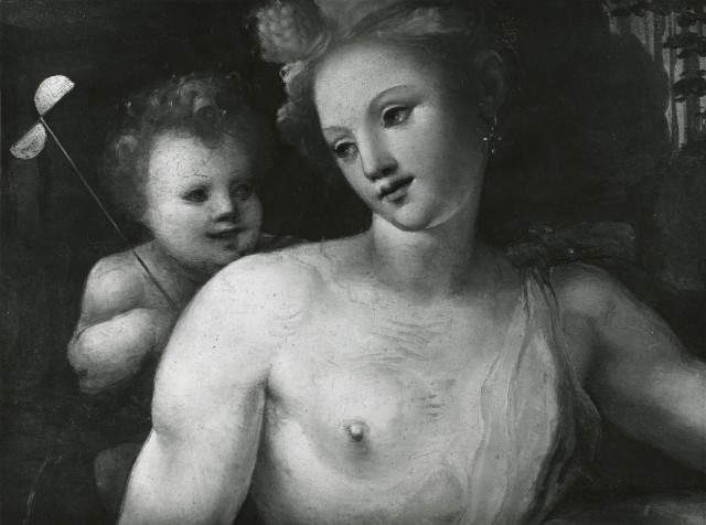 Boccardi, Cosimo — Beccafumi Domenico - sec. XVI - Venere — particolare